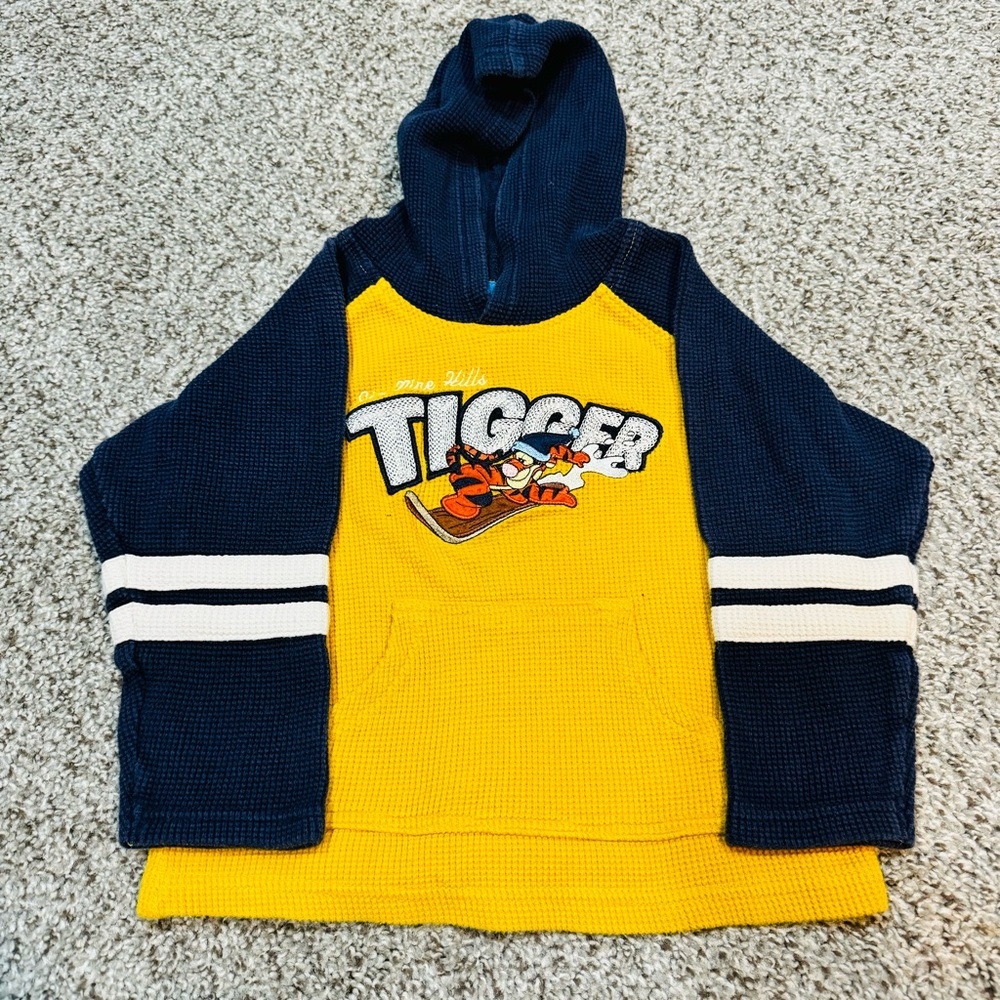 Vintage Little Boys Winnie the Pooh Embroidered Waffle Knit Color blocked Hoodie
